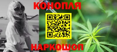 крисы Кизляр