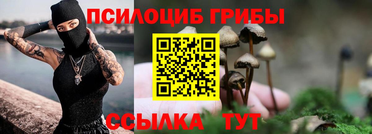 Галлюциногенные грибы Cubensis  Вход с VPN  Пушкино 